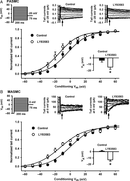 Figure 6