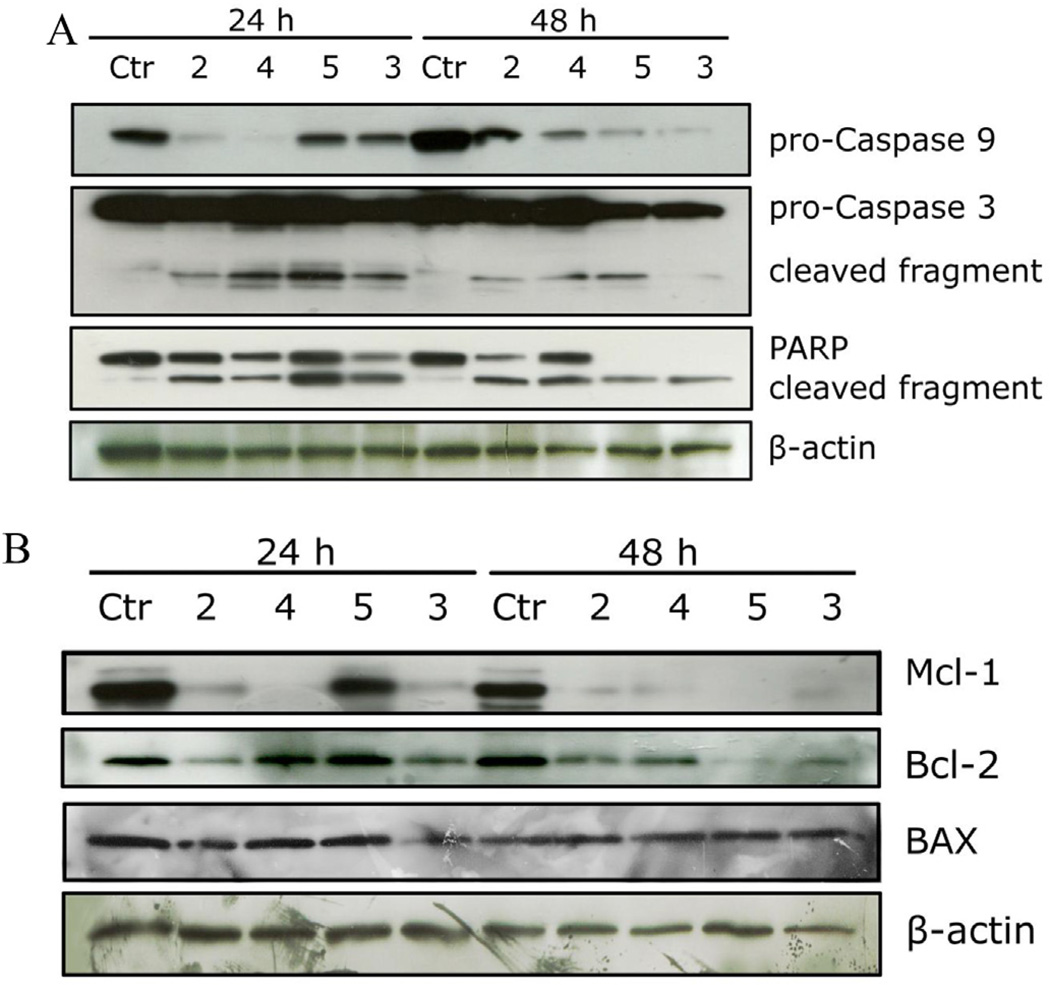 Fig. 12