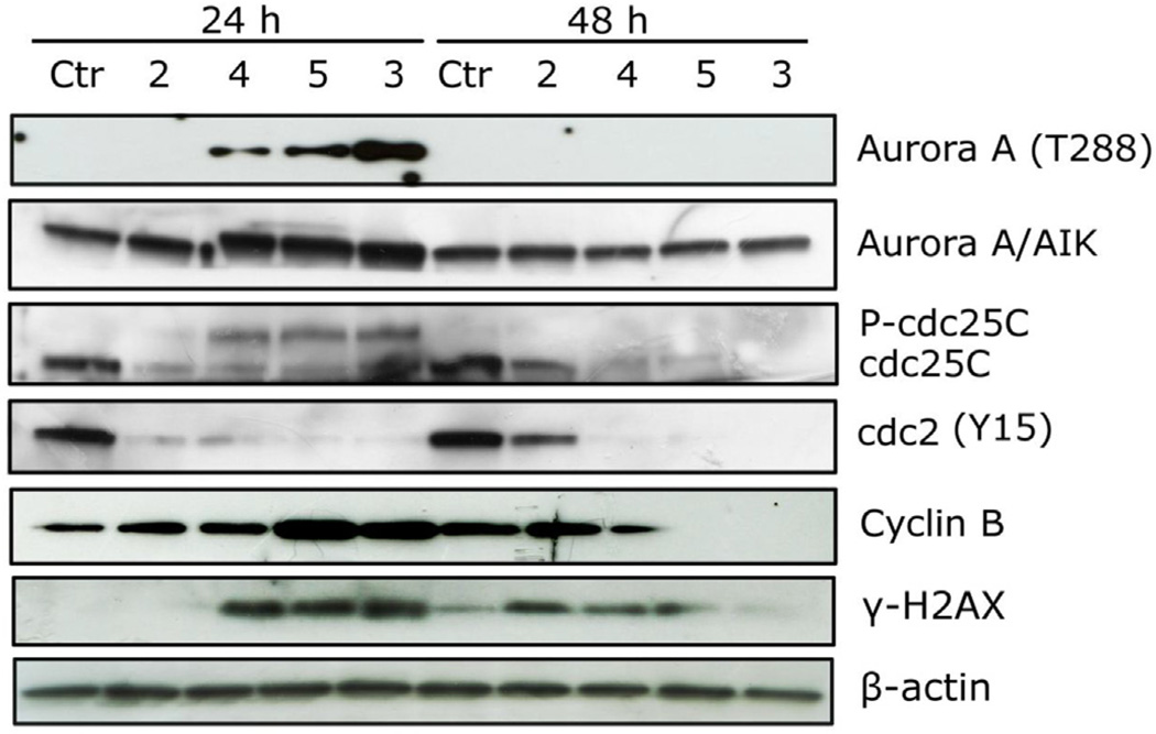 Fig. 8