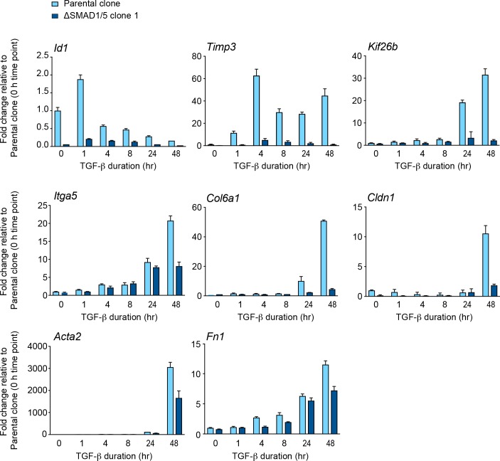 Figure 6—figure supplement 2.