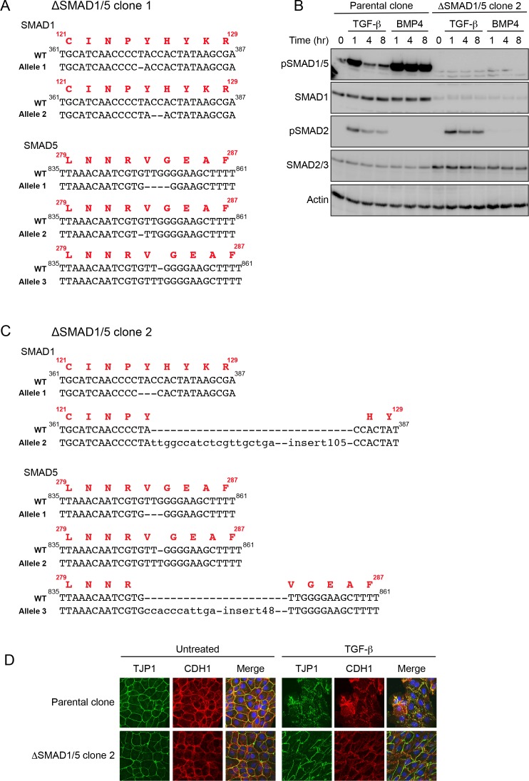 Figure 6—figure supplement 1.