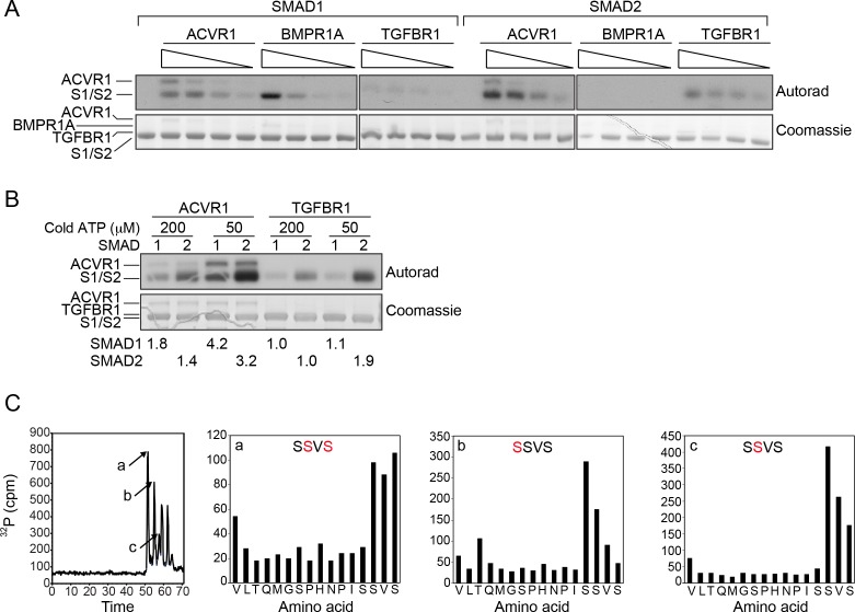 Figure 1—figure supplement 2.