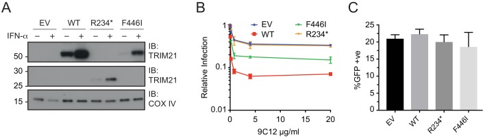 Figure 6—figure supplement 1.