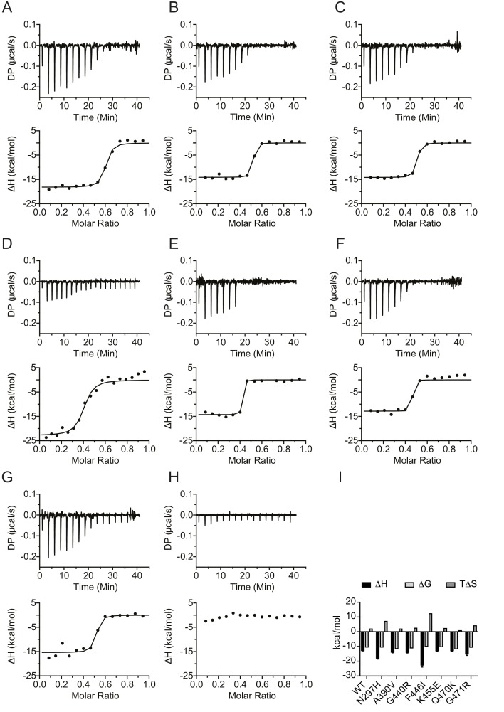 Figure 3—figure supplement 1.