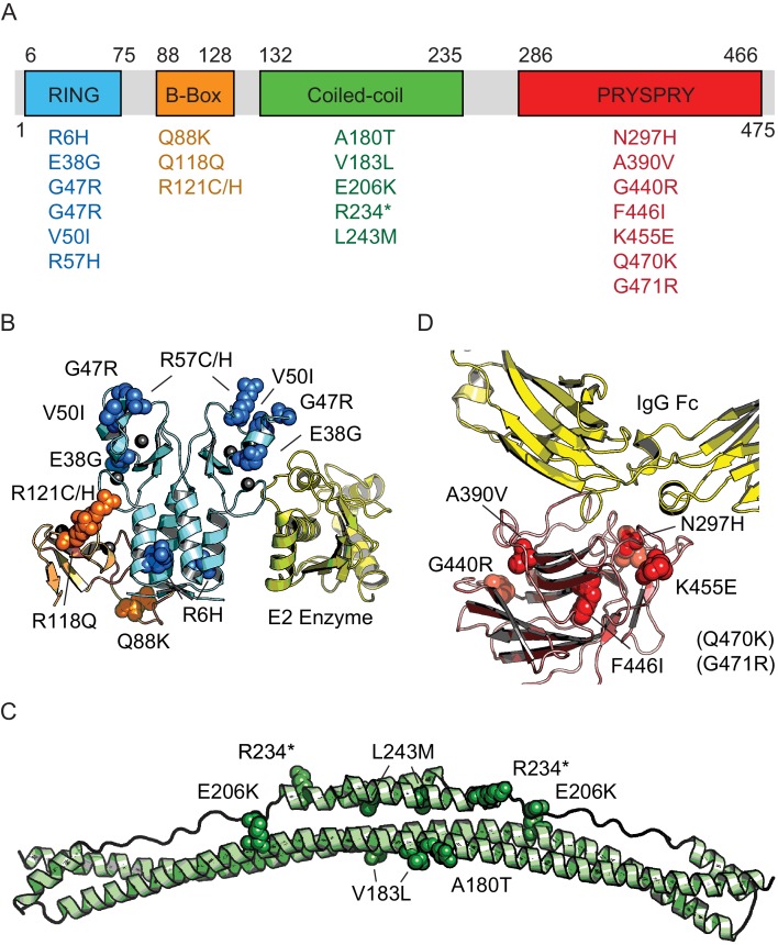 Figure 2.