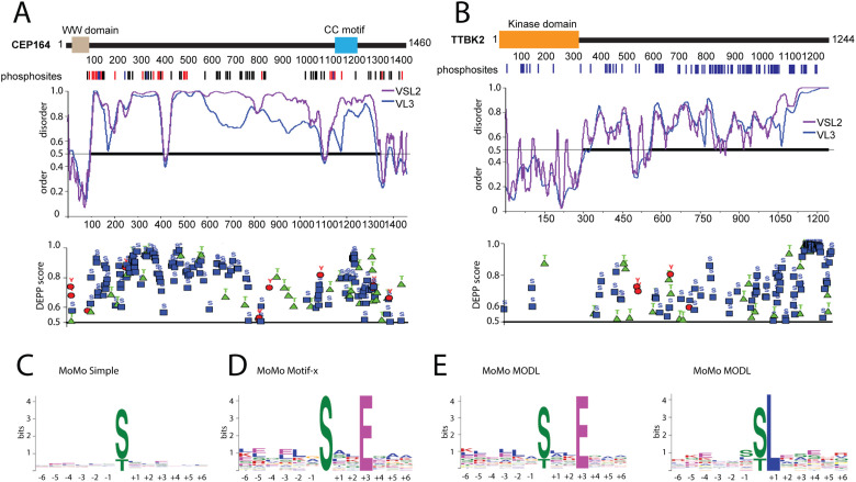 FIGURE 3: