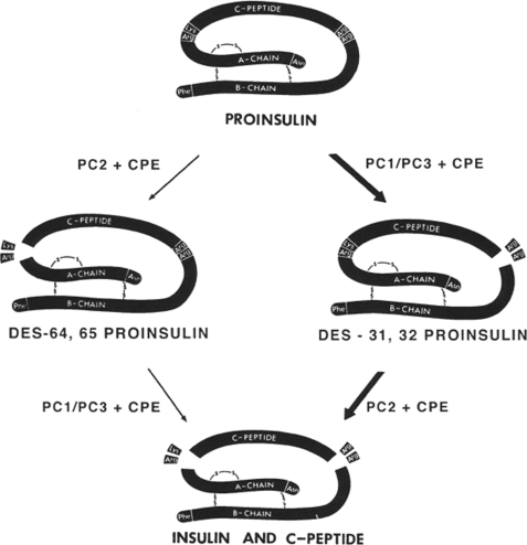 FIGURE 11.