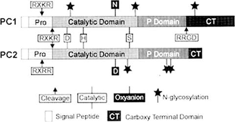 FIGURE 10.