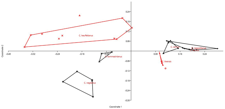 Figure 6.