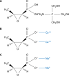 FIG 1