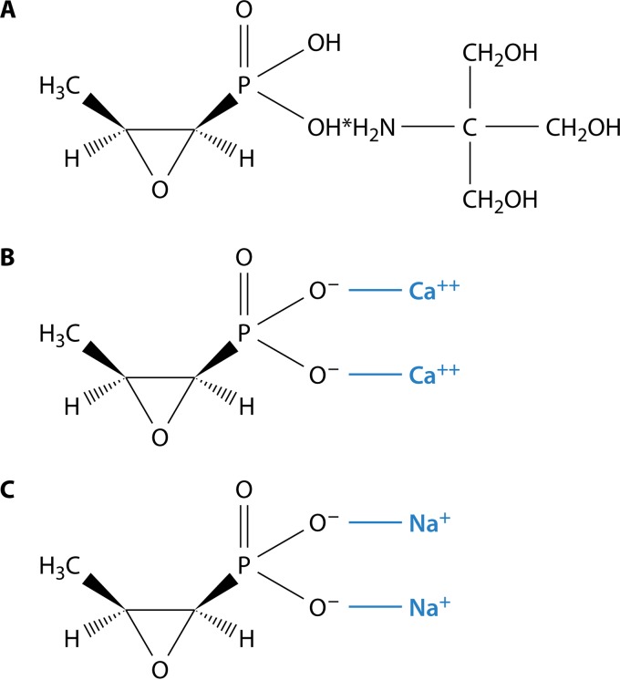 FIG 1