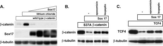 FIG. 8.