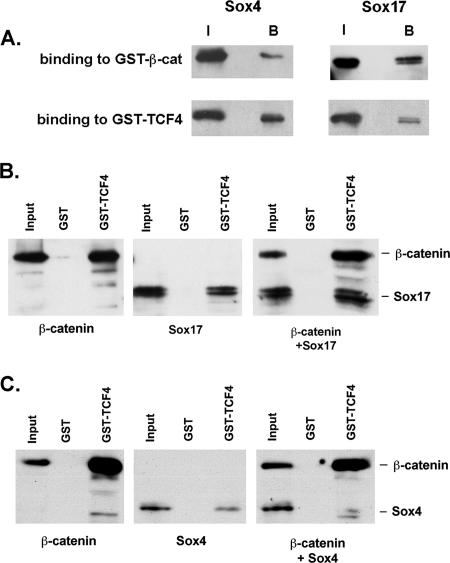 FIG. 5.