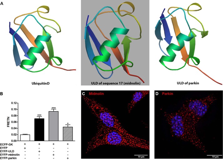 FIGURE 4.