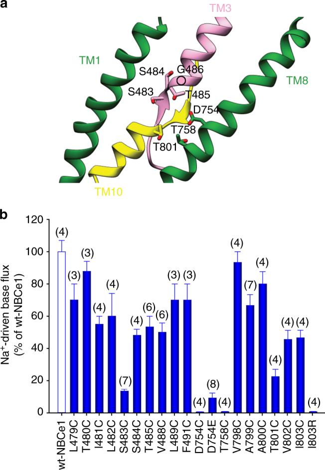 Fig. 3