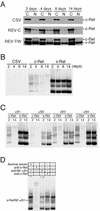 FIG. 8.
