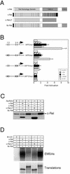 FIG. 6.