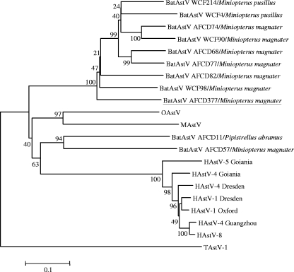 FIG. 4.