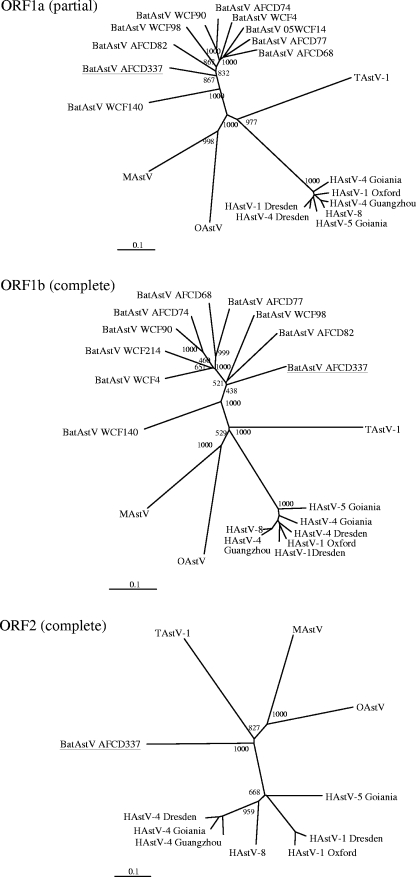 FIG. 2.