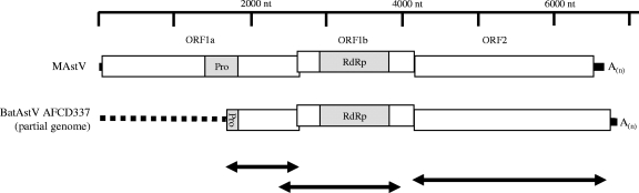 FIG. 1.