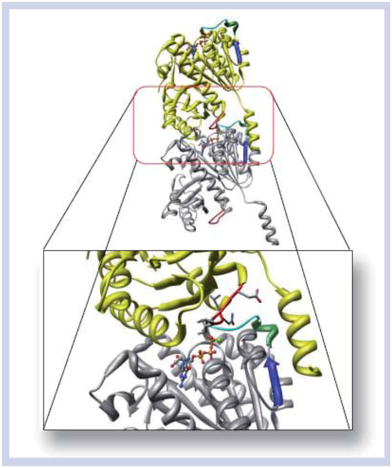 Figure 4