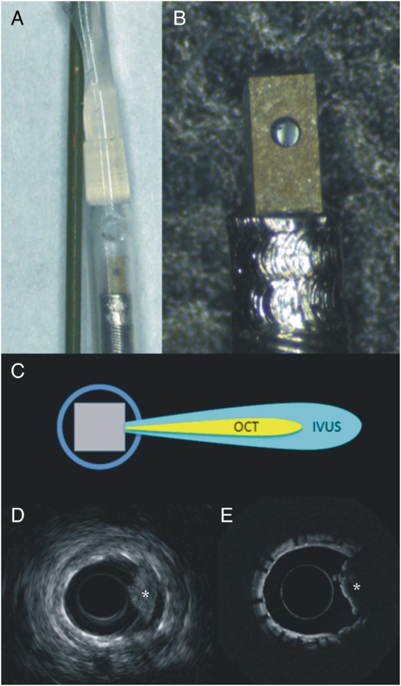 Figure 3