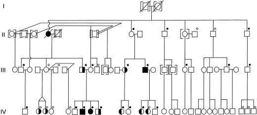 Figure  1