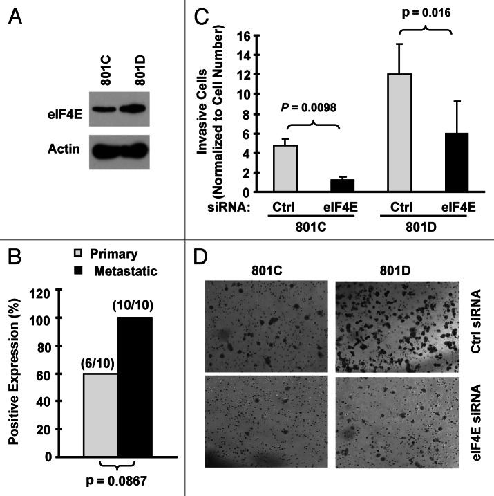 Figure 3.