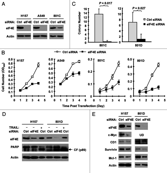 Figure 2.