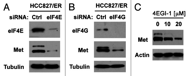 Figure 7.