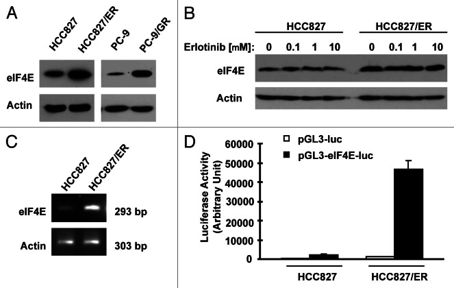 Figure 4.