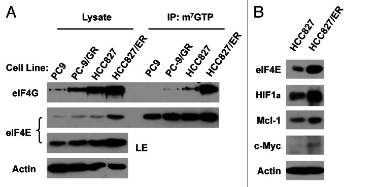 Figure 5.