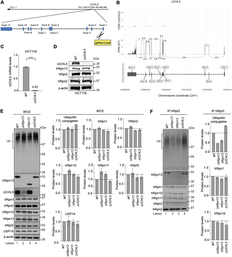 FIG 2