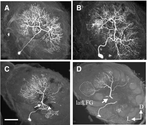 FIG. 6.