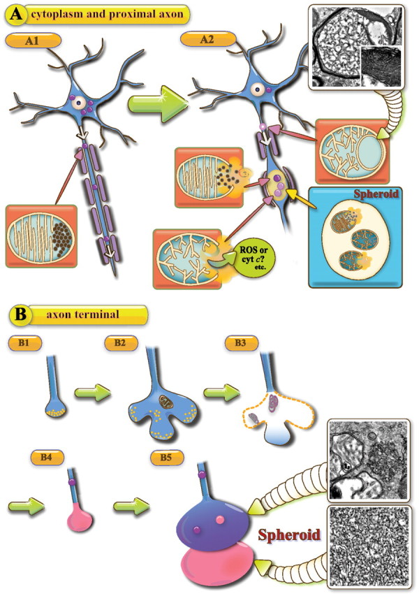 Figure 9.