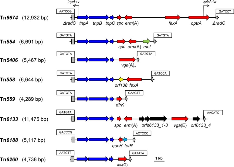 FIG 1