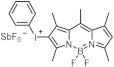 graphic file with name polymers-15-02524-i007.jpg
