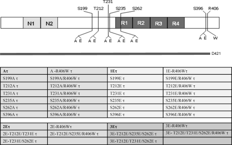 FIGURE 1.