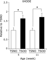 Fig. 4