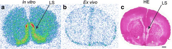 Fig. 7