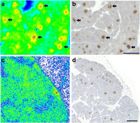 Fig. 8