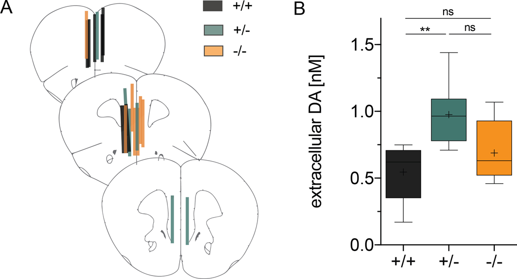 Figure 5.