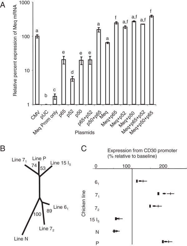 Figure 5 