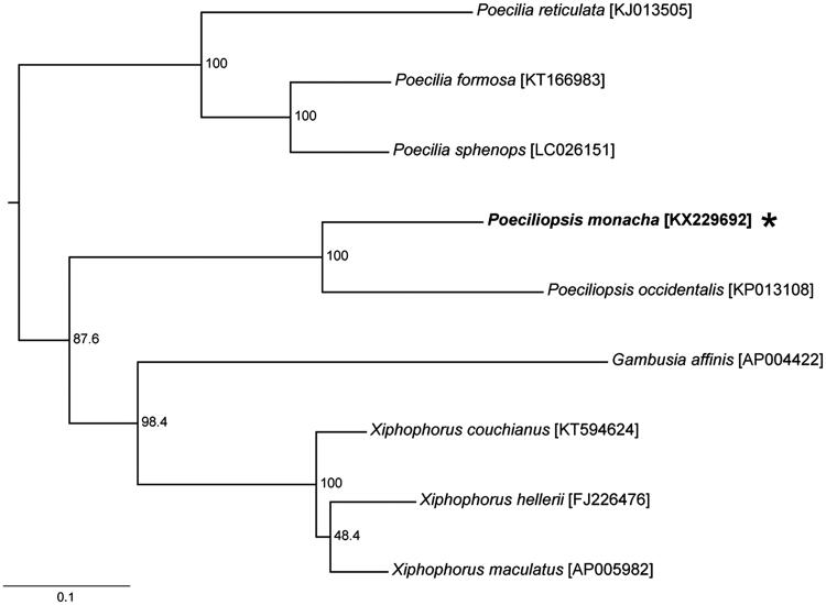 Figure 1.