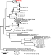 FIG 2