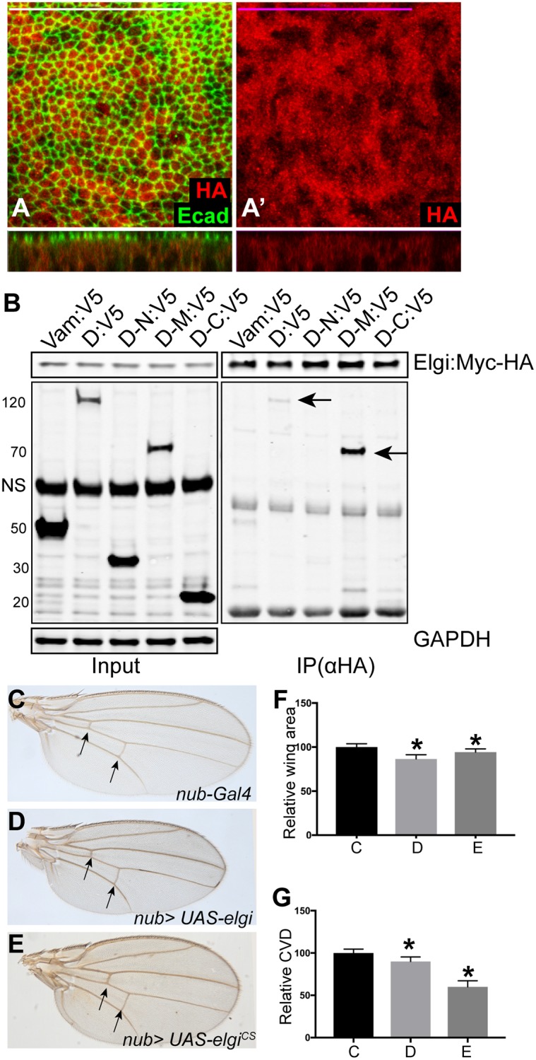 Fig 4