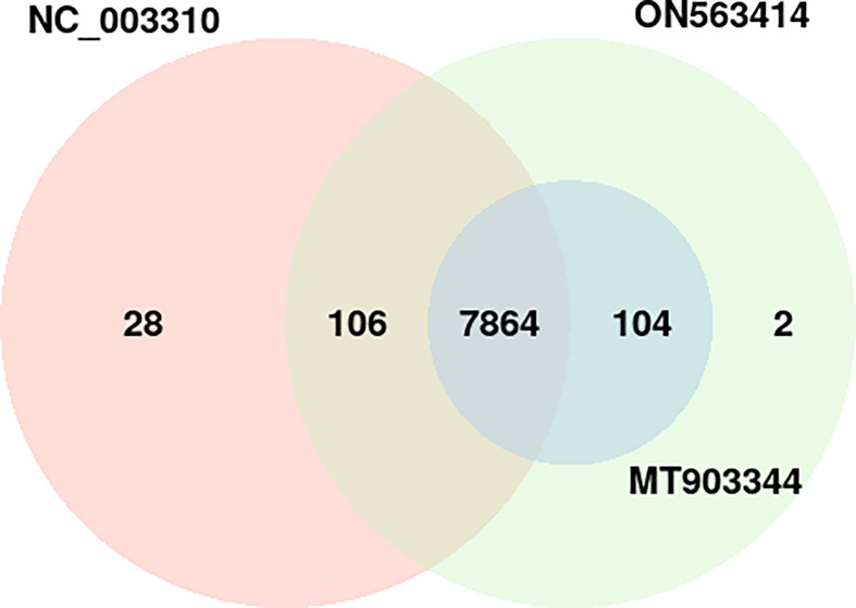 Figure 4