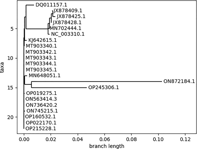 Figure 3