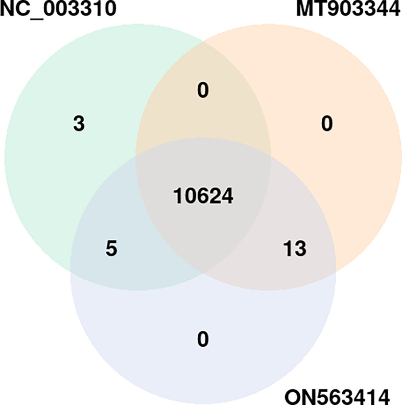 Figure 5