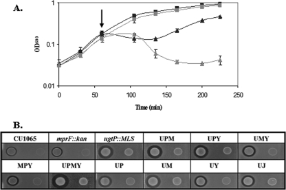 FIG. 3.